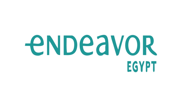 Endeavor-Egypt